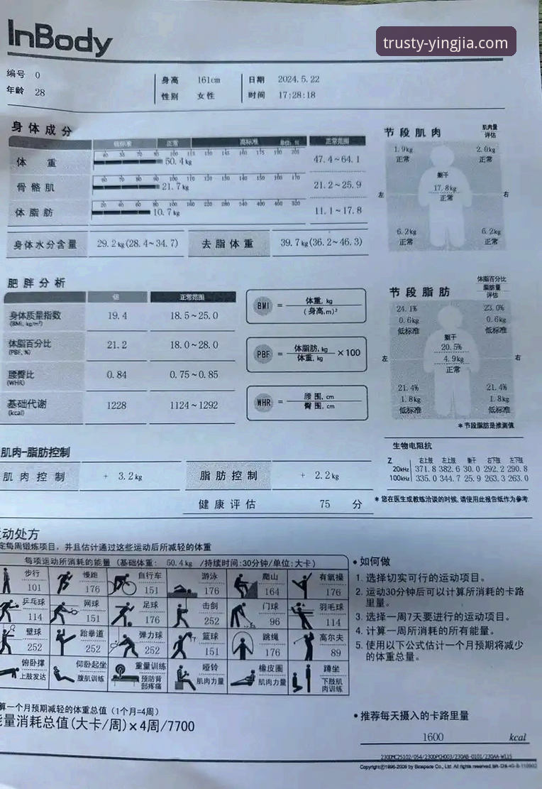 盈嘉体育数据 盈嘉体育数据深度评测:一个实战派用户的真实体验报告